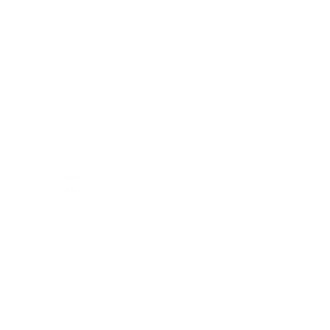 cenet Logo